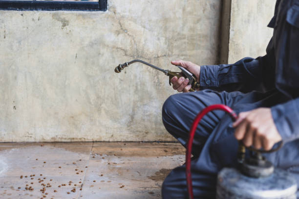 Best Pest Removal Services  in Starkville, MS