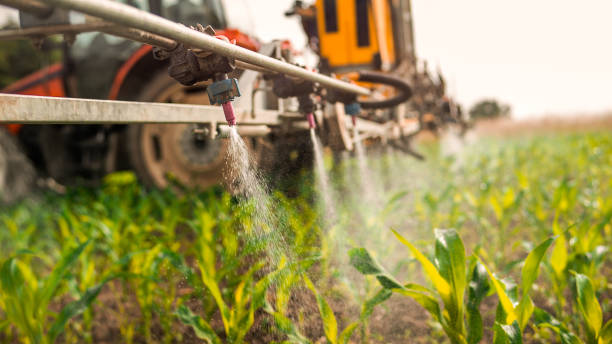Professional Pest Control in Starkville, MS